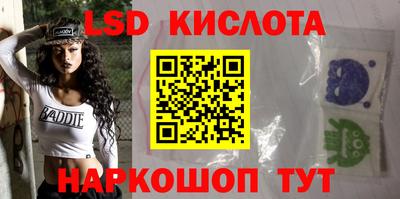гашик Донской