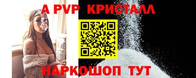 гашик Донской