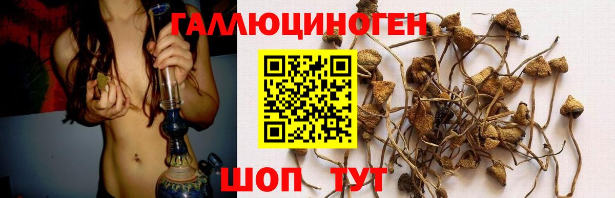 Лабытнанги  Галлюциногенные грибы ЛСД  Вход с VPN 